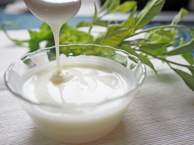 %e3%83%a8%e3%83%bc%e3%82%af%e3%82%99%e3%83%ab%e3%83%88